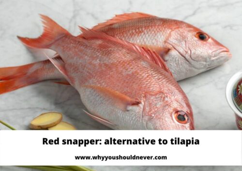 red snapper