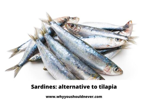 sardines