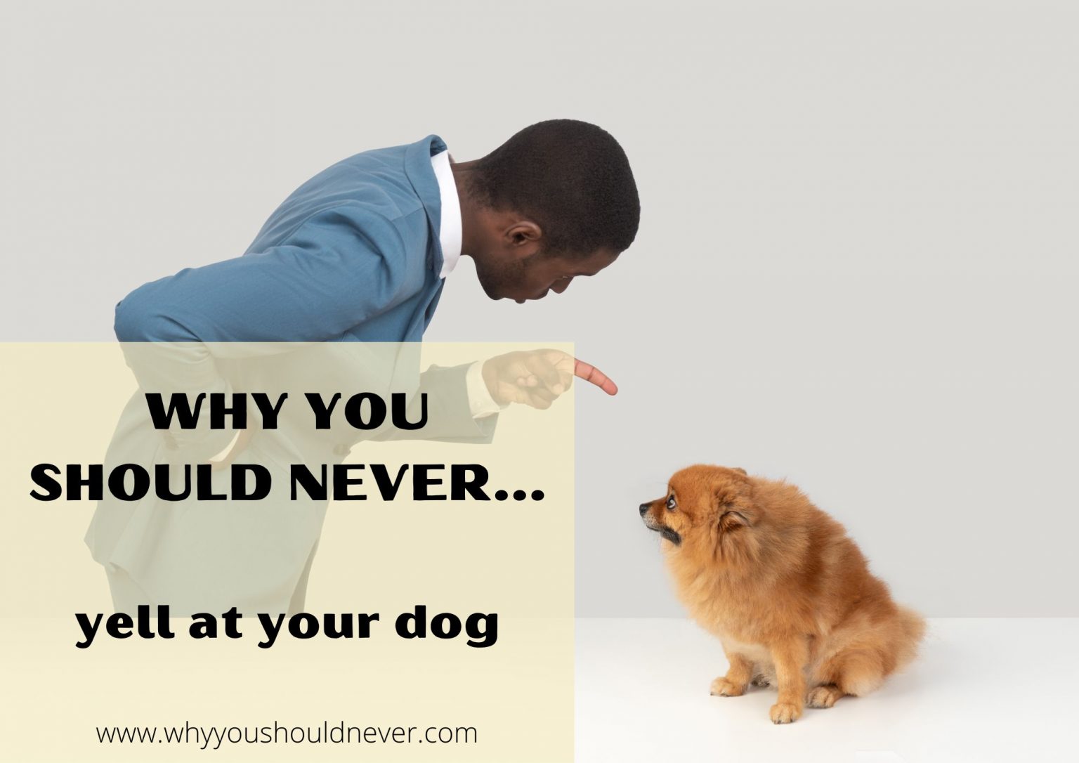 Why You Should Never Yell At Your Dog – Why You Should Never…