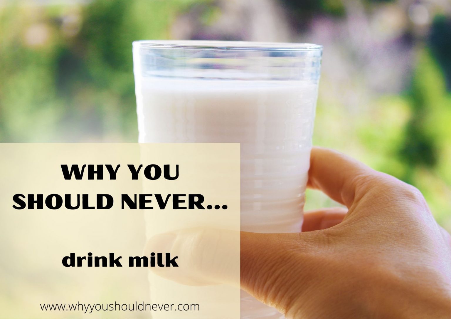 Why You Should Never Drink Milk – Why You Should Never…