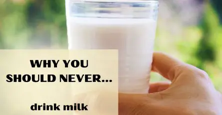 Why you should never drink milk