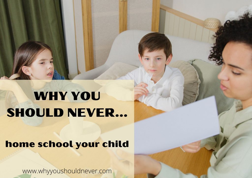 Why You Should Never Home School Your Child Why You Should Never…