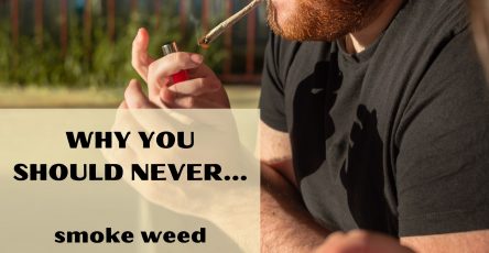 Why you should never smoke weed