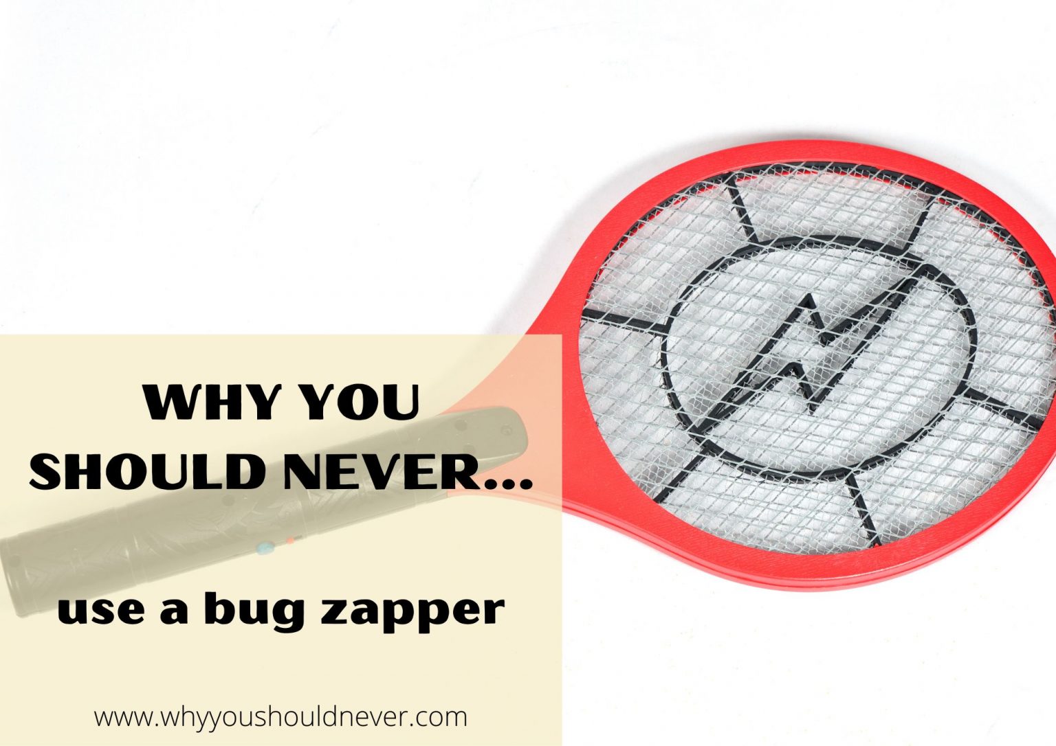 Why You Should Never Use A Bug Zapper Why You Should Never…