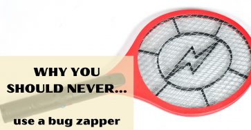 Why you should never use a bug zapper