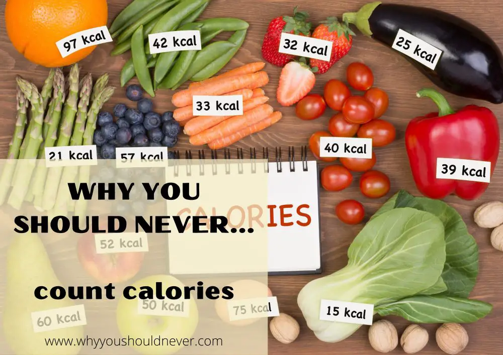 Why you should never count calories