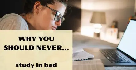 Why You Should Never Study In Bed