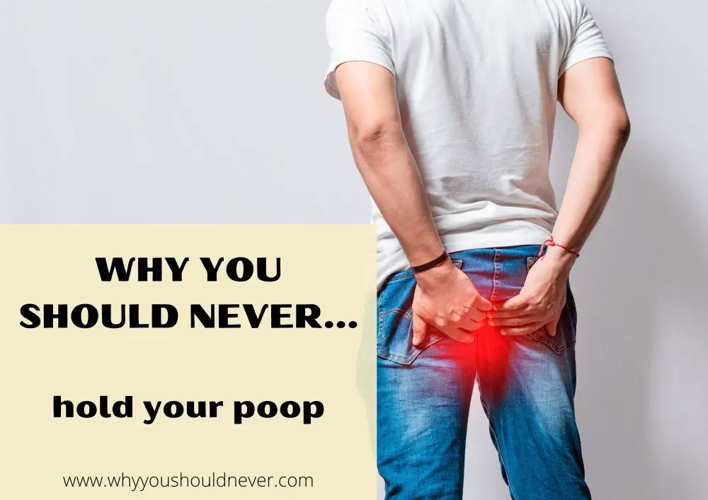 Why You Should Never Hold Your Poop