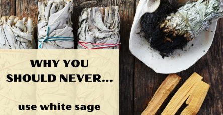 Why You Should Never Use White Sage