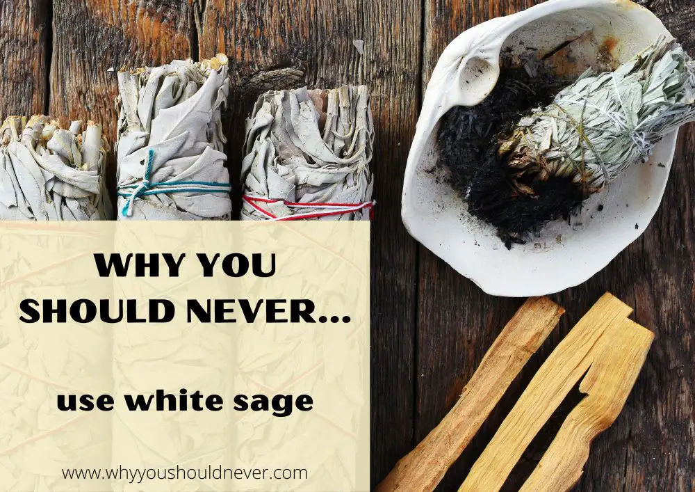 Why You Should Never Use White Sage