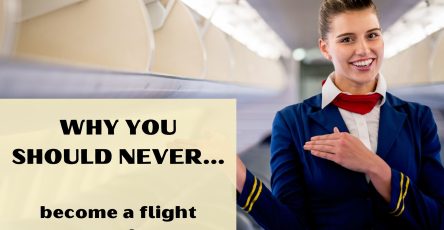 Why You Should Never Become A Flight Attendant