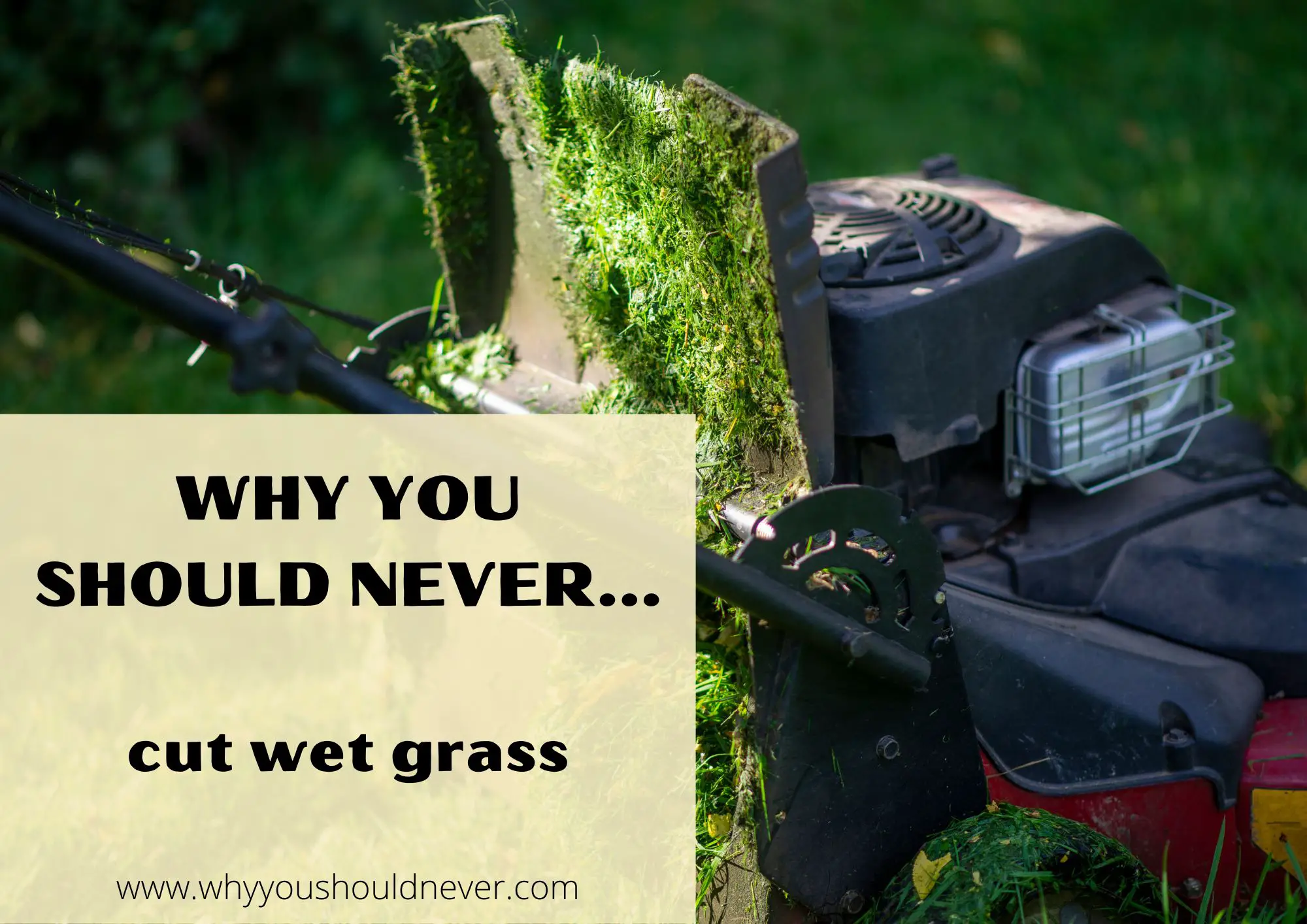 Why You Should Never Cut Wet Grass
