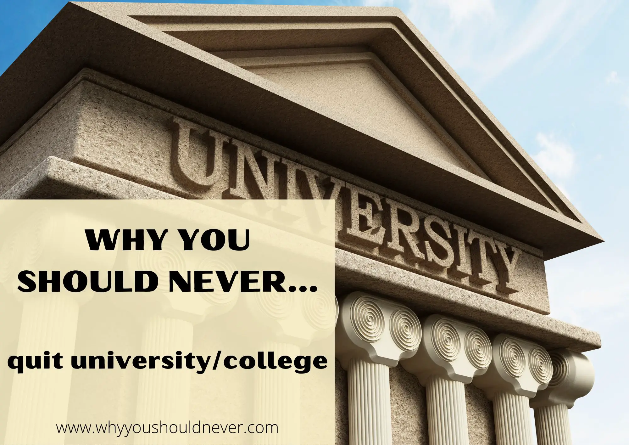 Why You Should Never Quit University/College