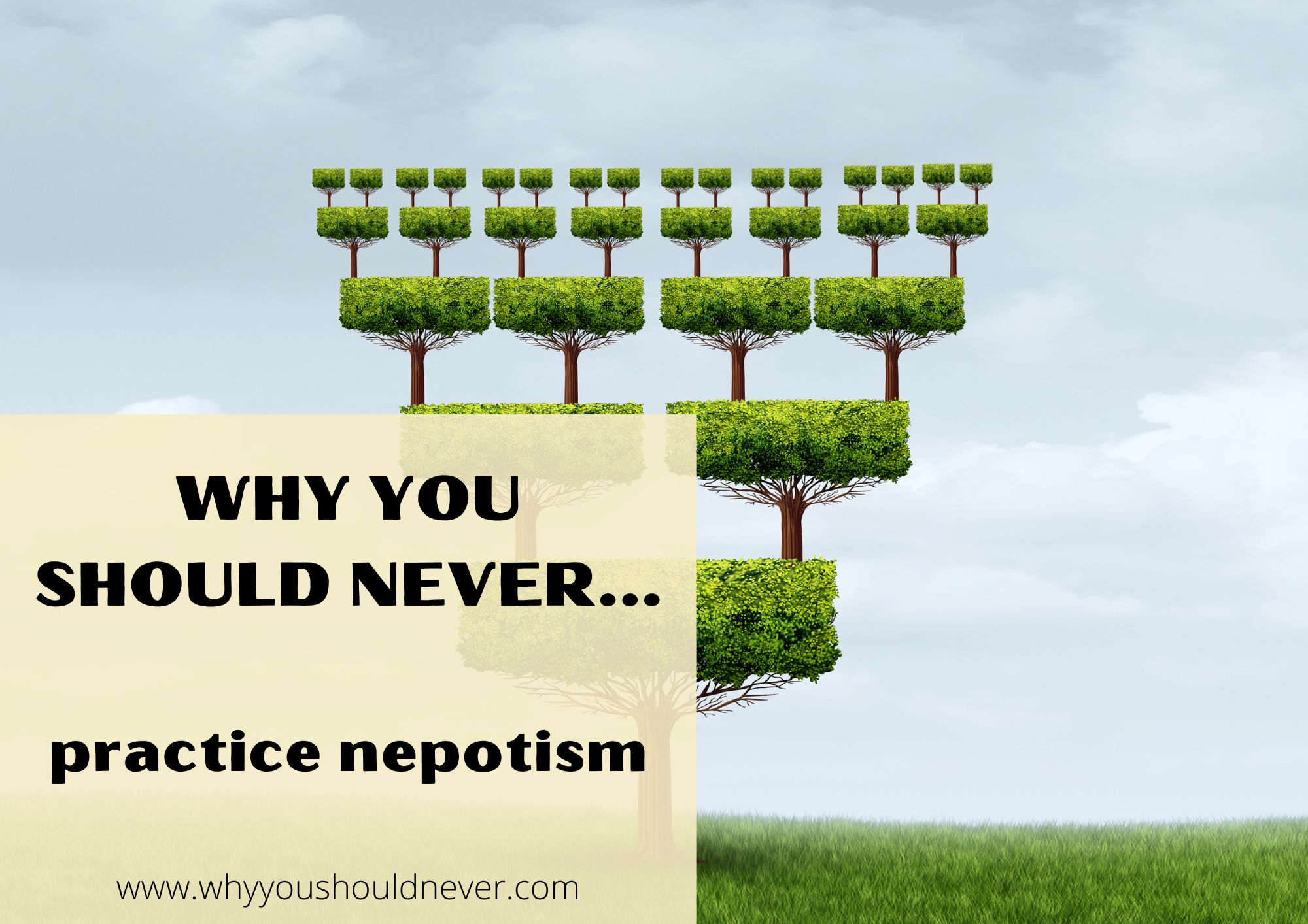 Why You Should Never Practice Nepotism